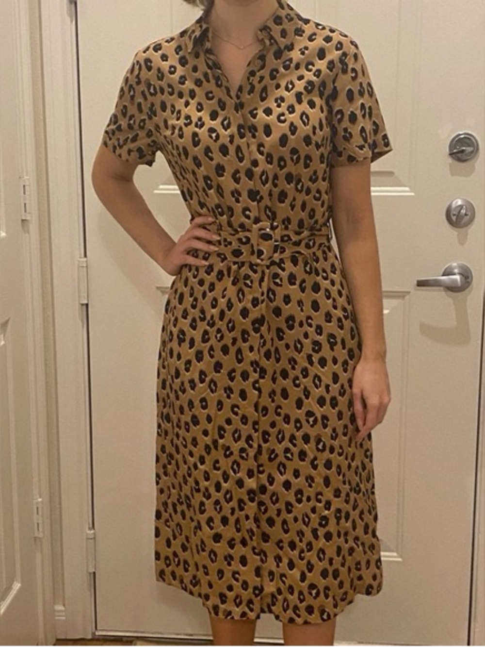 a new day ~ Leopard Print Dress ~Short Sleeve ~ Button Front ~ Midi ~ So Cute